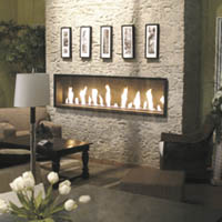 C-View PV Fireplace